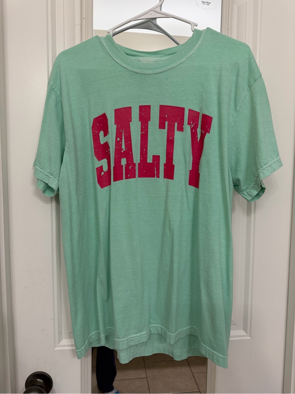 Comfort Colors Mint Green "SALTY" Short Sleeve Tee with Pink Graphic